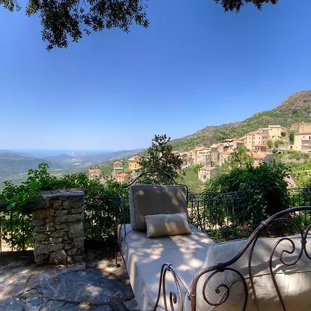 Le Campu Latinu * Lama