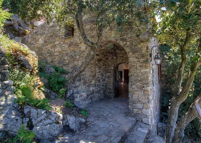 Le Campu Latinu Lama