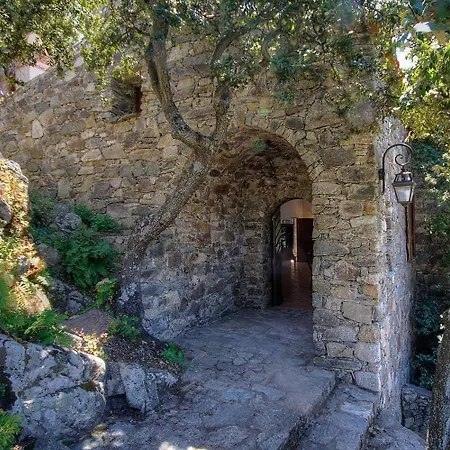 Le Campu Latinu Lama