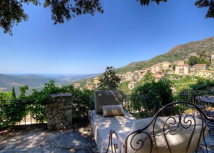 Le Campu Latinu * Lama